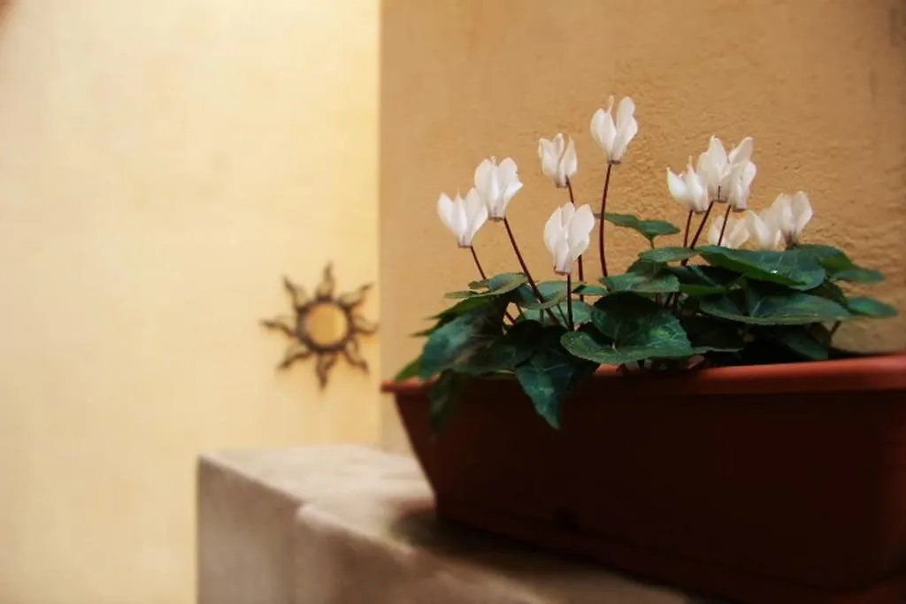 Guest house La Bella Verona Wine Suite Italy
